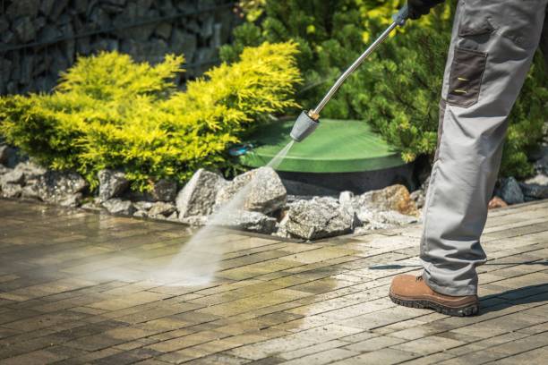 Best Driveway Pressure Washing  in Trafalgar, IN