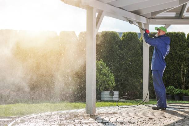 Best Gutter Cleaning  in Trafalgar, IN