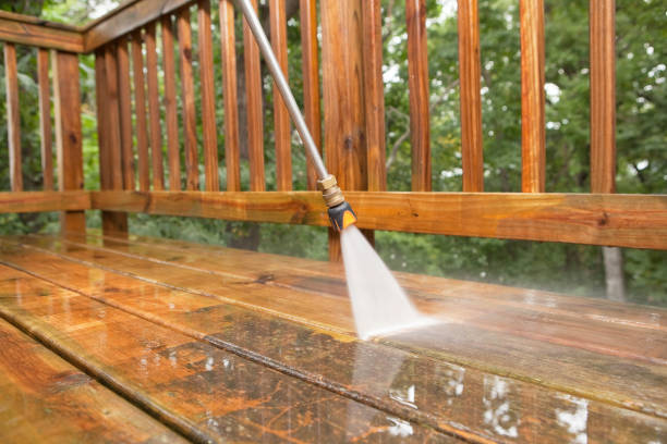 Best Building Exterior Washing  in Trafalgar, IN